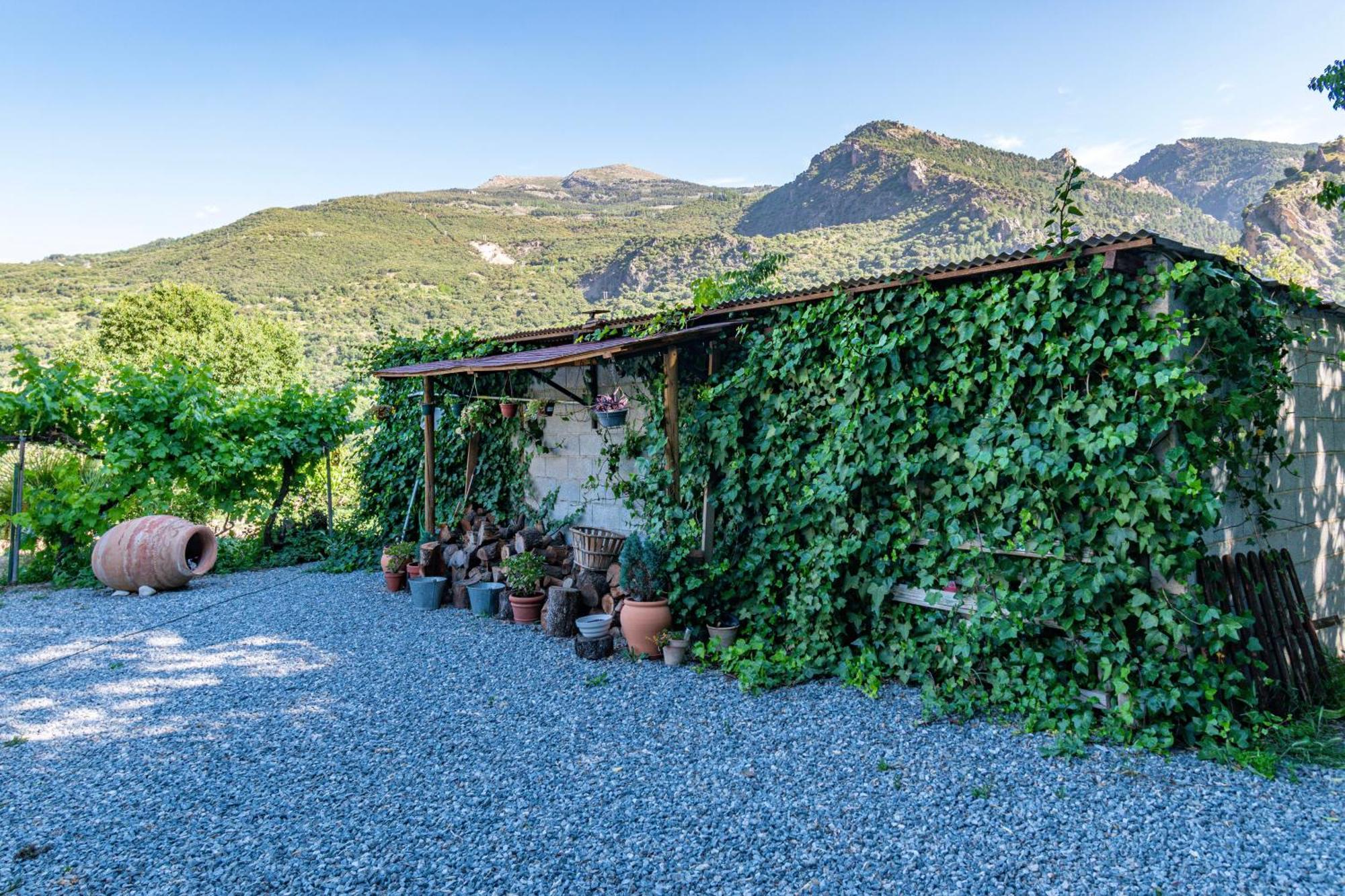 Olivillas Garden Guejar Sierra Exteriör bild